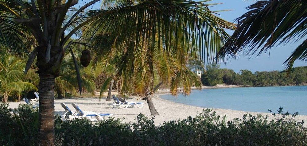 Bluff House Beach Resort & Marina Green Turtle Cay Zewnętrze zdjęcie